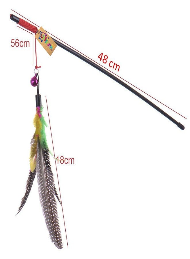 Western Era 48 cm Cat Playful Feather Toy Teaser Stick for Play and Training for Cat, Kitten, Puppy (1 Piece) (Random Color) - Image 2
